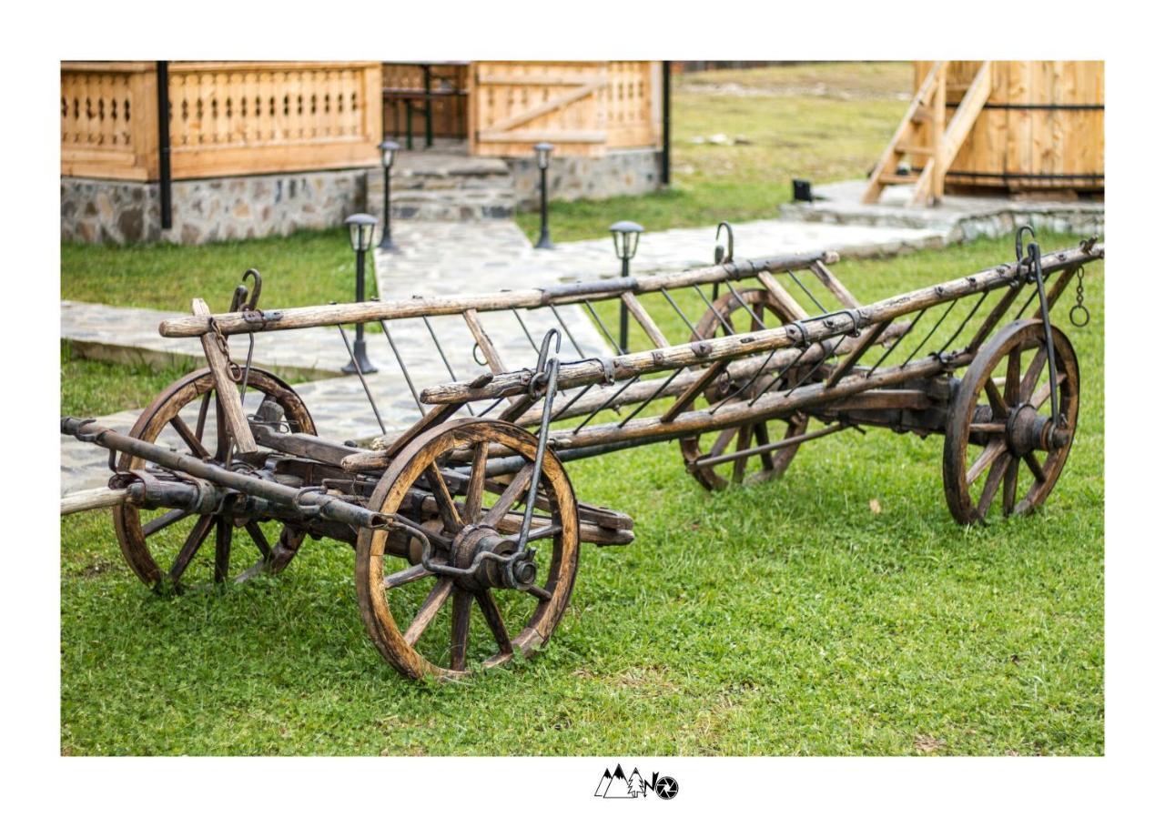 Casa Morosanului Viseu de Sus